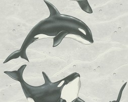 טפט לקיר דולפינים ובועות ברקע שמנת