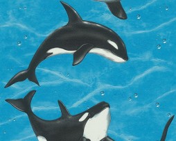 טפט לקיר דולפינים בים ובועות