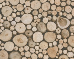 טפט לקיר בולי עץ בגדלים שונים