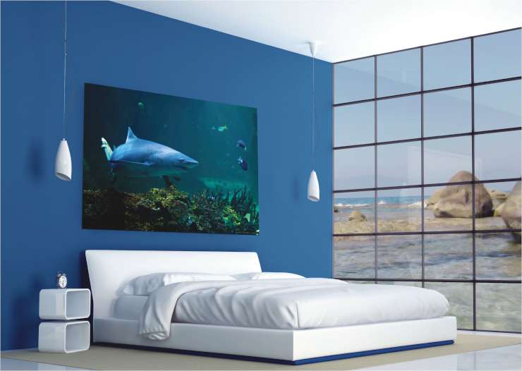 תמונת טפט כריש ודגים בים דוגמא