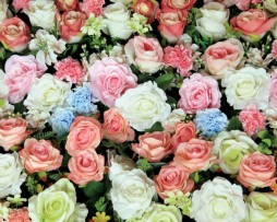 תמונת טפט פרחים צבעוניים